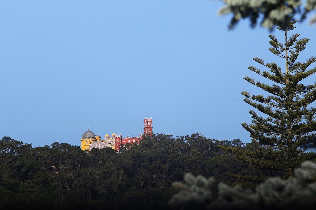 Cosy Sintra Hotell Exteriör bild